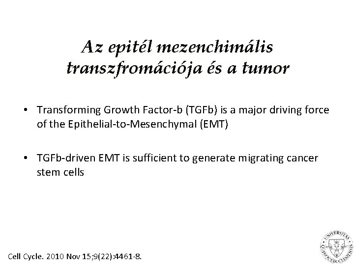 Az epitél mezenchimális transzfromációja és a tumor • Transforming Growth Factor-b (TGFb) is a