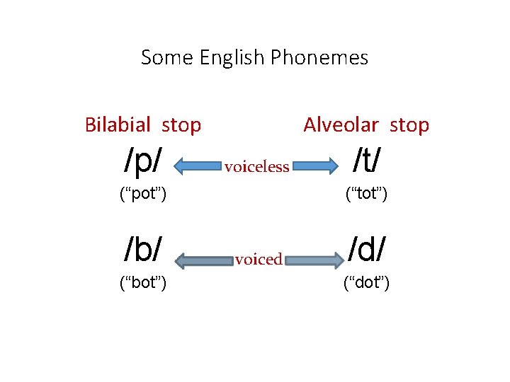 Some English Phonemes Bilabial stop /p/ Alveolar stop voiceless (“pot”) /b/ (“bot”) /t/ (“tot”)