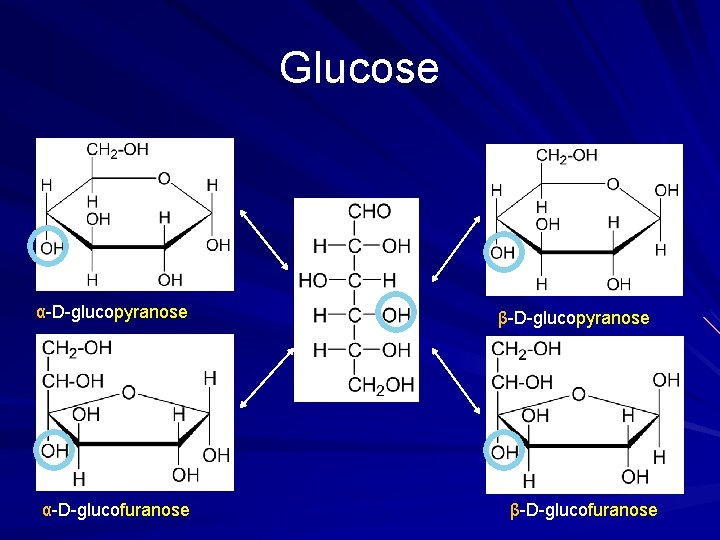 Glucose α-D-glucopyranose α-D-glucofuranose β-D-glucopyranose β-D-glucofuranose 