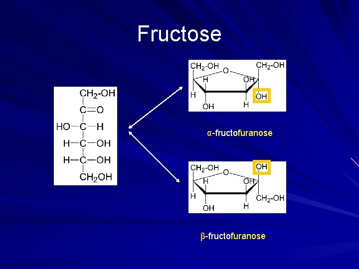 Fructose α-fructofuranose β-fructofuranose 