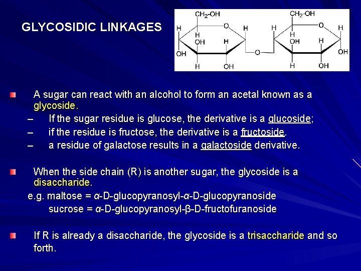 GLYCOSIDIC LINKAGES A sugar can react with an alcohol to form an acetal known