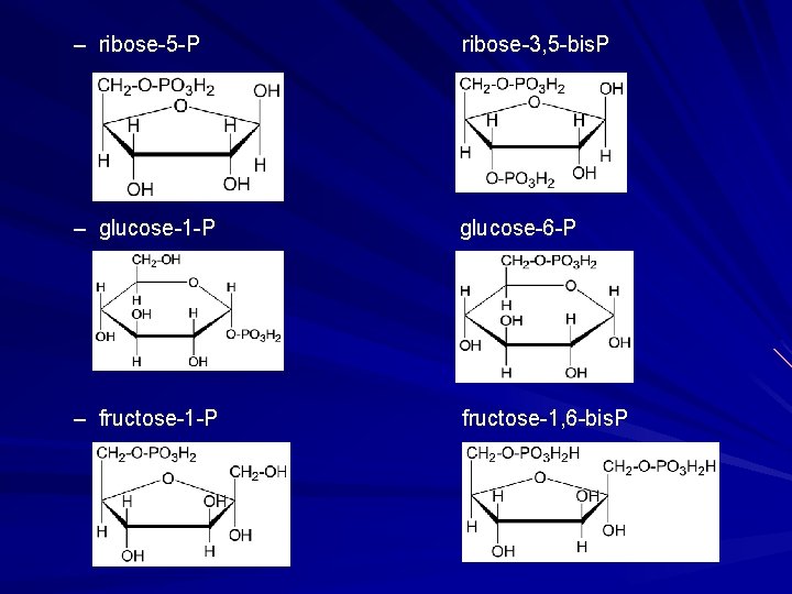 – ribose-5 -P ribose-3, 5 -bis. P – glucose-1 -P glucose-6 -P – fructose-1