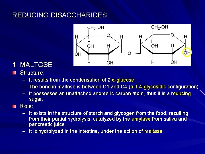 REDUCING DISACCHARIDES 1. MALTOSE Structure: – It results from the condensation of 2 α-glucose