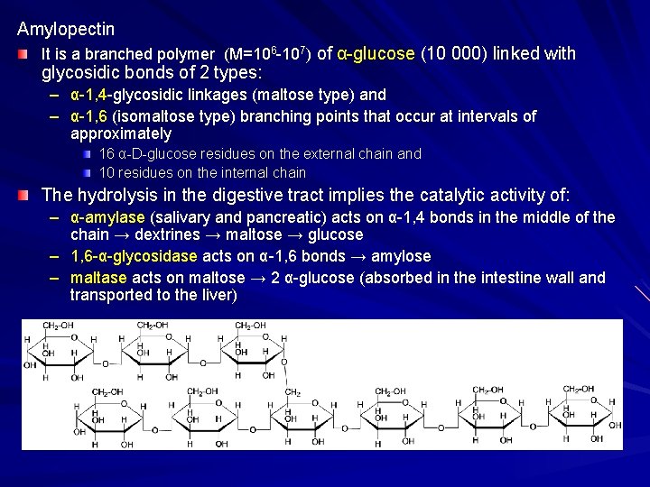 Amylopectin It is a branched polymer (M=106 -107) of α-glucose (10 000) linked with