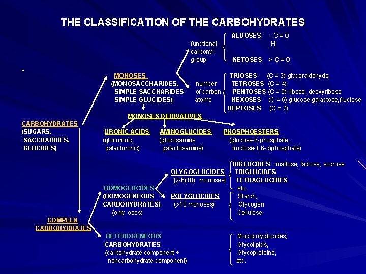 THE CLASSIFICATION OF THE CARBOHYDRATES ALDOSES - C = O functional H carbonyl group