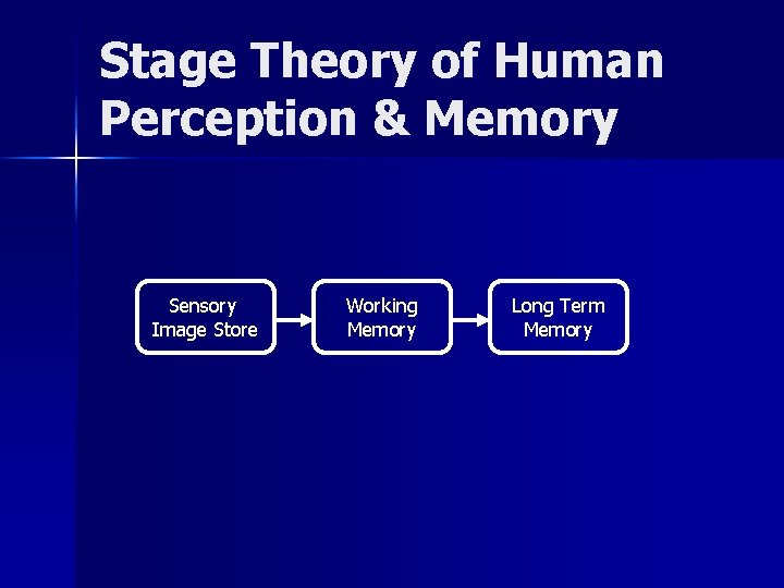 Stage Theory of Human Perception & Memory Sensory Image Store Working Memory Long Term