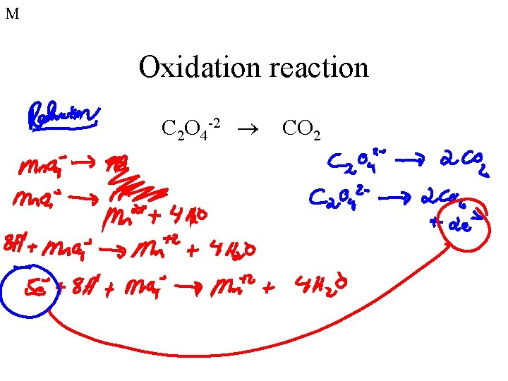 M Oxidation reaction C 2 O 4 -2 CO 2 