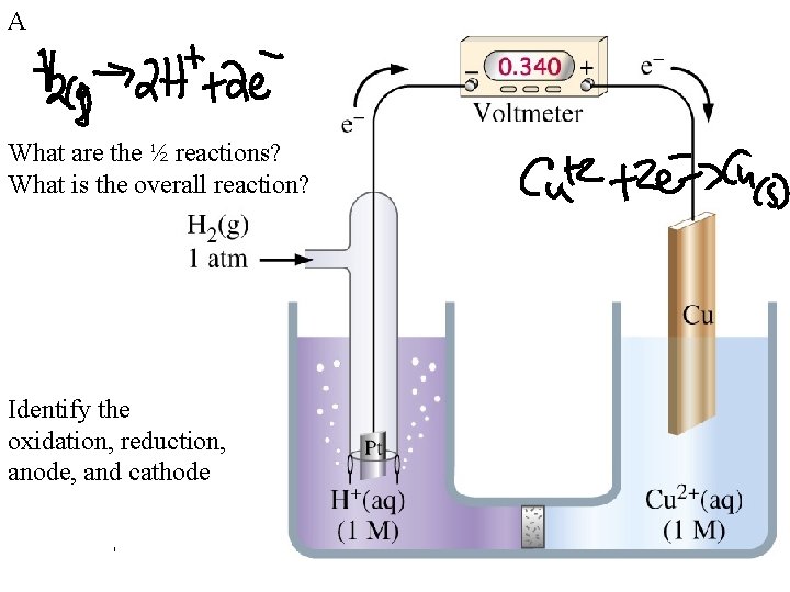 A What are the ½ reactions? What is the overall reaction? Identify the oxidation,