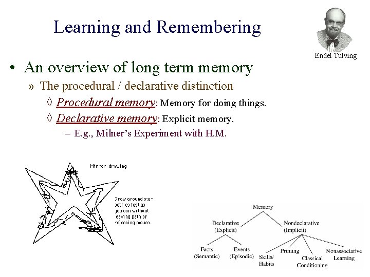 Learning and Remembering • An overview of long term memory » The procedural /