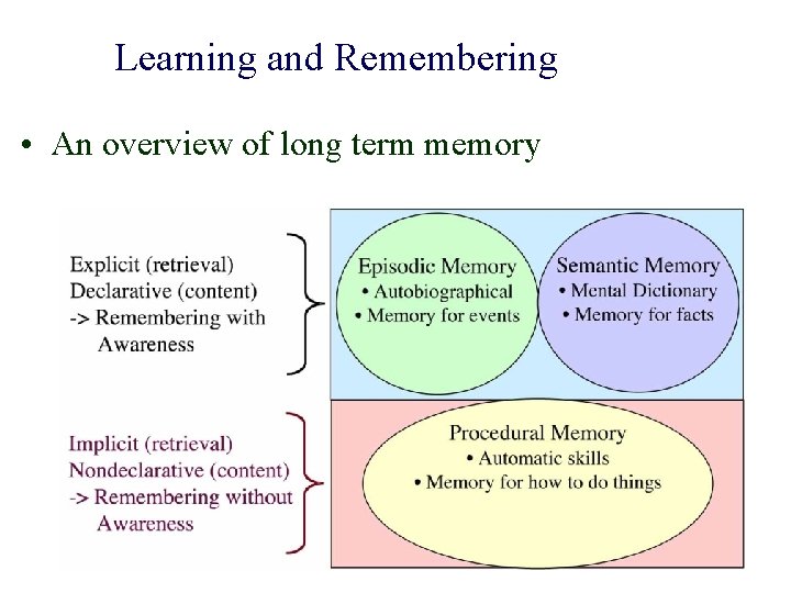 Learning and Remembering • An overview of long term memory 