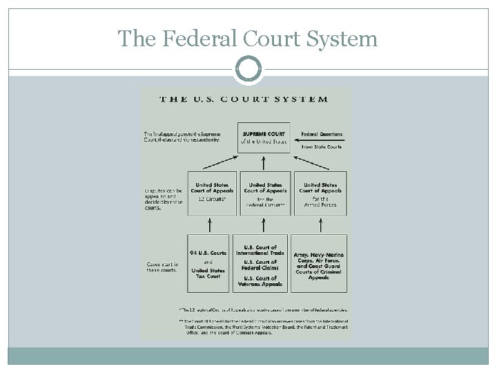 The Federal Court System 