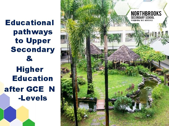 Educational pathways to Upper Secondary & Higher Education after GCE N -Levels 
