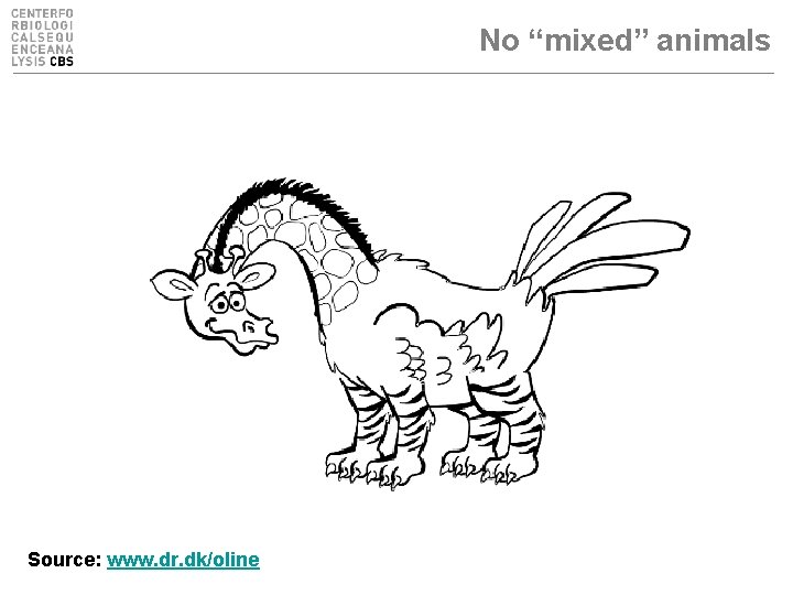 No “mixed” animals Source: www. dr. dk/oline 