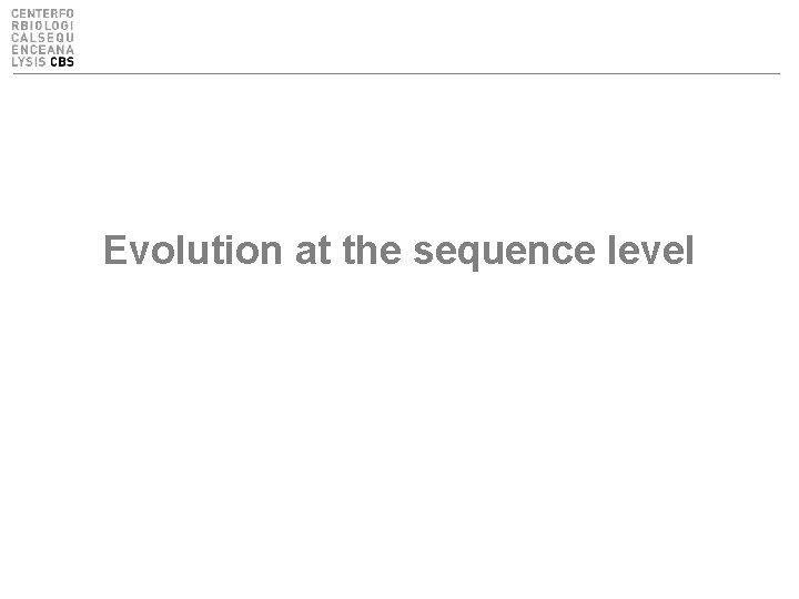 Evolution at the sequence level 