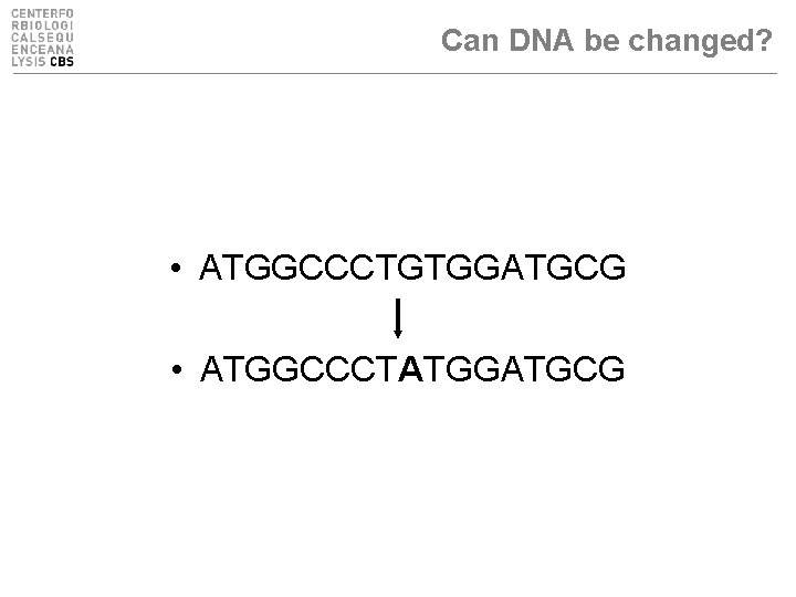 Can DNA be changed? • ATGGCCCTGTGGATGCG • ATGGCCCTATGGATGCG 