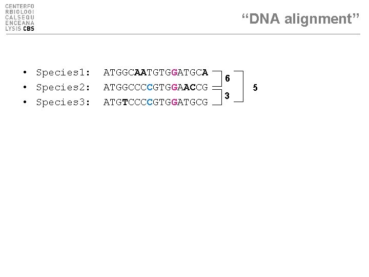 “DNA alignment” • Species 1: • Species 2: • Species 3: ATGGCAATGTGGATGCA ATGGCCCCGTGGAACCG ATGTCCCCGTGGATGCG