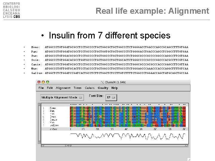 Real life example: Alignment • Insulin from 7 different species • • Homo: Pan: