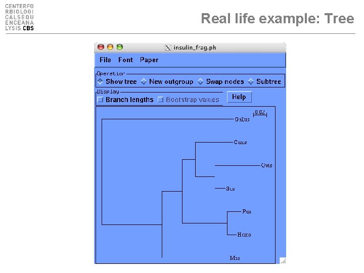 Real life example: Tree 