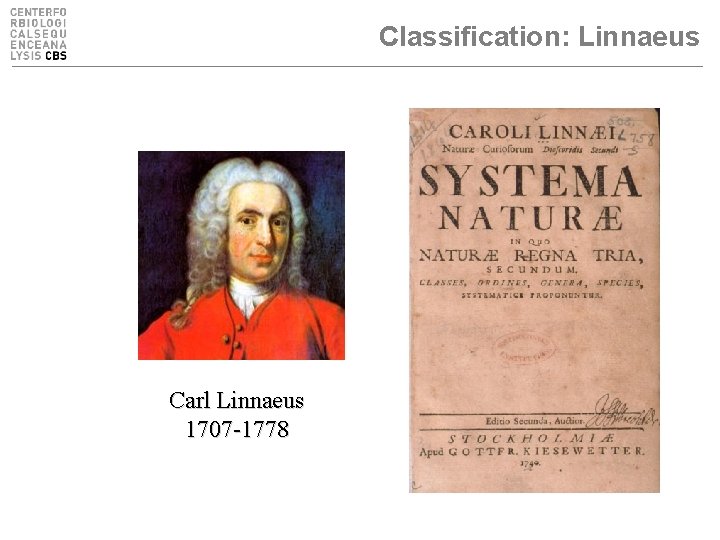 Classification: Linnaeus Carl Linnaeus 1707 -1778 
