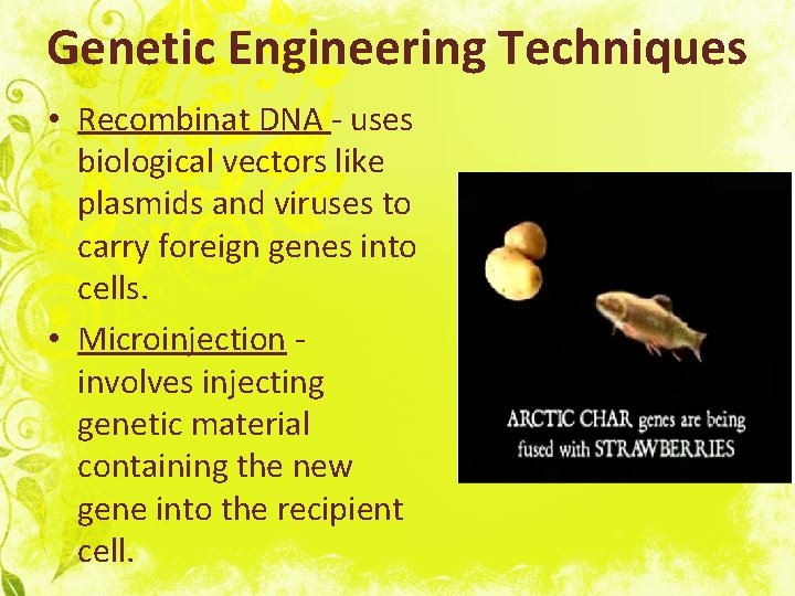 Genetic Engineering Techniques • Recombinat DNA - uses biological vectors like plasmids and viruses