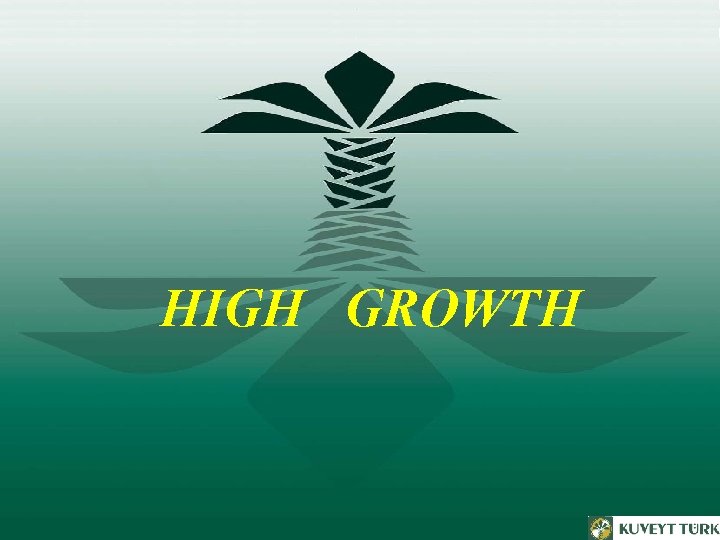 HIGH GROWTH 