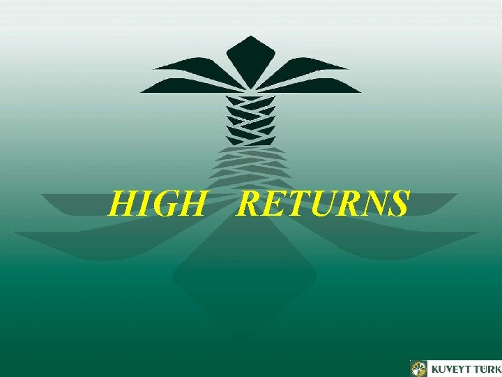 HIGH RETURNS 