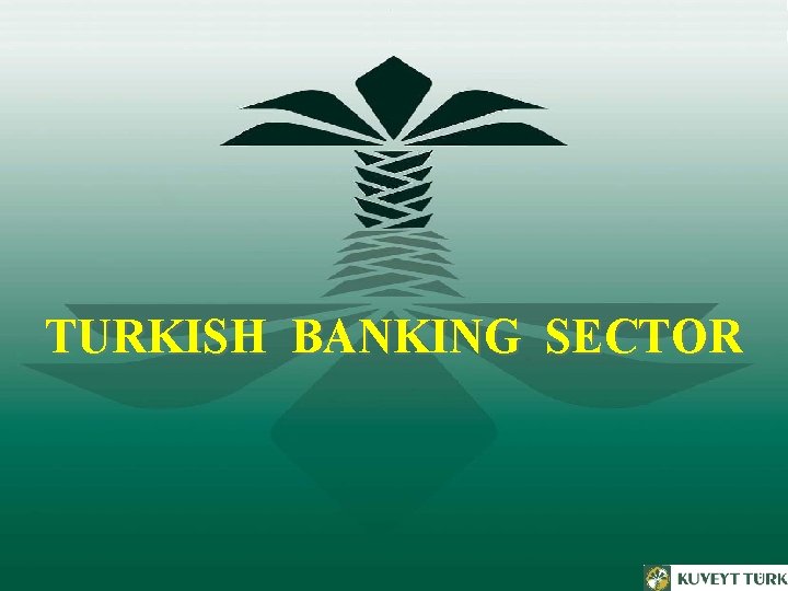 TURKISH BANKING SECTOR 