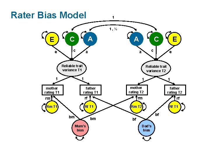 Rater Bias Model 1 1, ½ A C E e c A a c