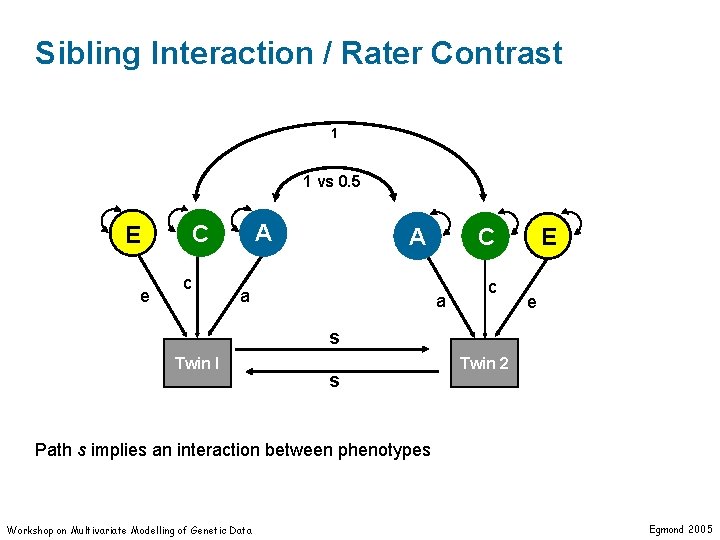 Sibling Interaction / Rater Contrast 1 1 vs 0. 5 e A C E