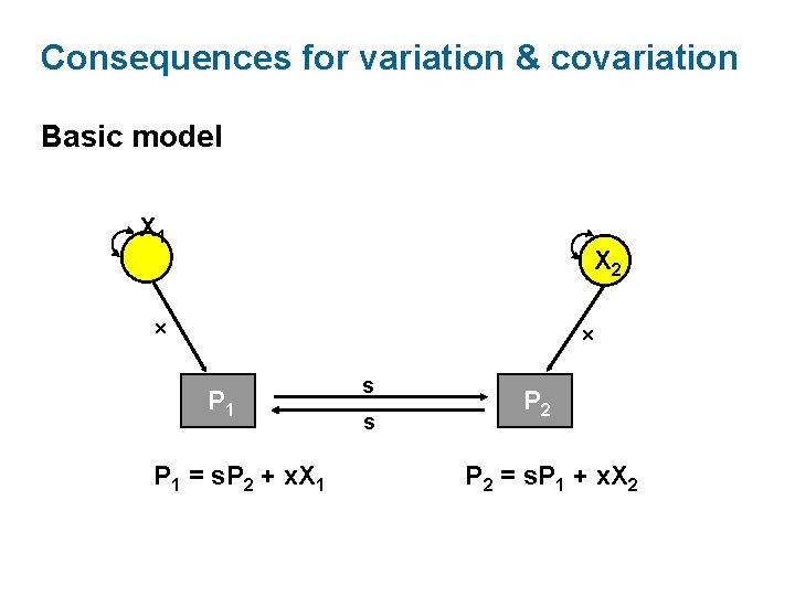 Consequences for variation & covariation Basic model X 1 X 2 x x P