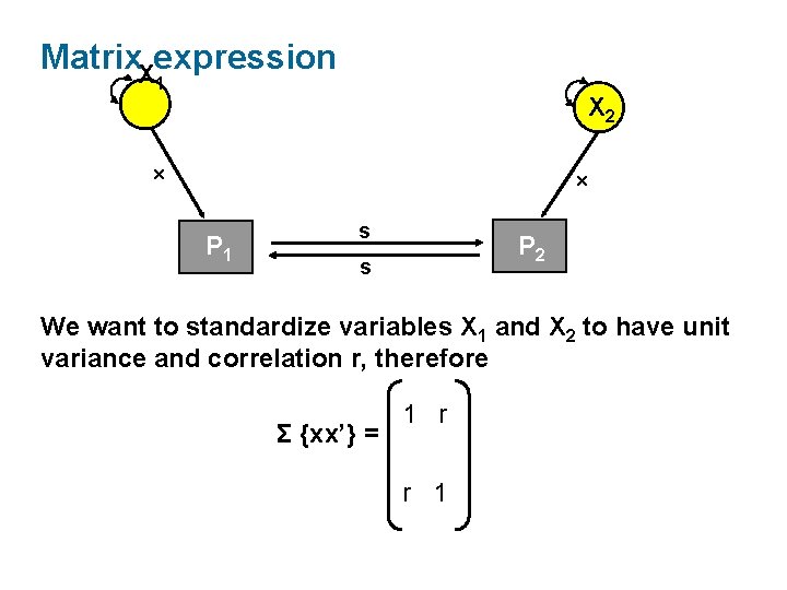 Matrix. Xexpression 1 X 2 x x P 1 s P 2 s We