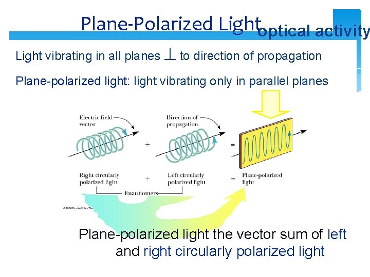 Plane-Polarized Lightoptical activity Light vibrating in all planes to direction of propagation Plane-polarized light: