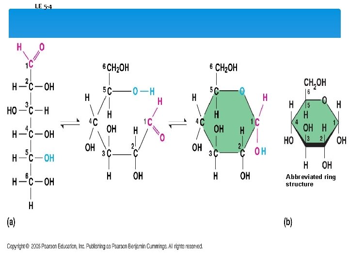 LE 5 -4 Abbreviated ring structure 