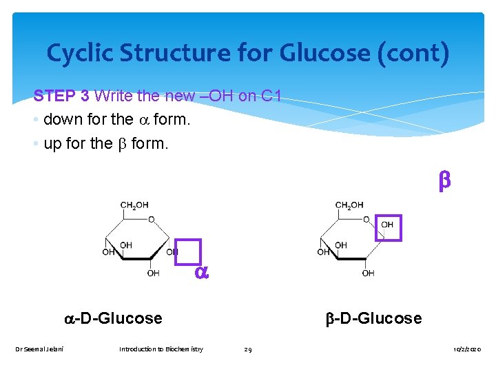 Cyclic Structure for Glucose (cont) STEP 3 Write the new –OH on C 1