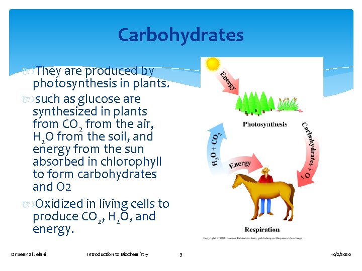 Carbohydrates They are produced by photosynthesis in plants. such as glucose are synthesized in