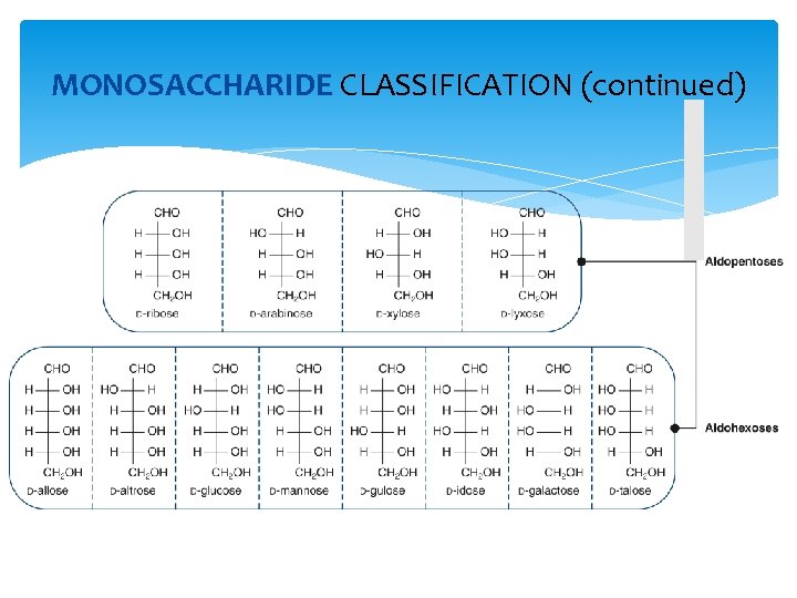 MONOSACCHARIDE CLASSIFICATION (continued) 