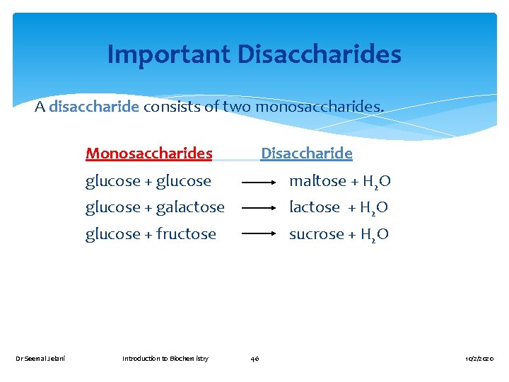 Important Disaccharides A disaccharide consists of two monosaccharides. Monosaccharides Disaccharide glucose + glucose maltose