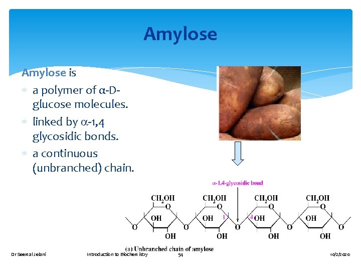 Amylose is a polymer of α-Dglucose molecules. linked by -1, 4 glycosidic bonds. a