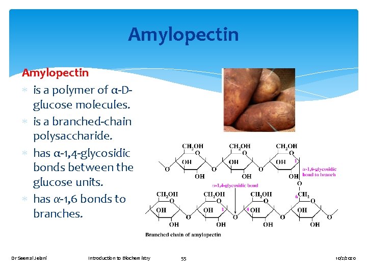 Amylopectin is a polymer of α-Dglucose molecules. is a branched-chain polysaccharide. has α-1, 4