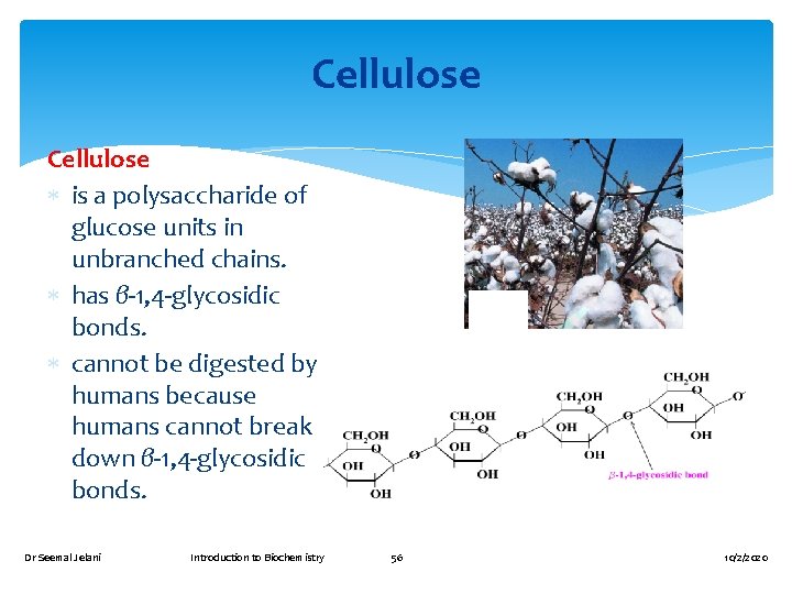 Cellulose is a polysaccharide of glucose units in unbranched chains. has β-1, 4 -glycosidic