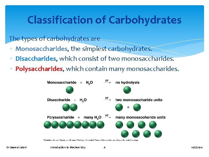 Classification of Carbohydrates The types of carbohydrates are • Monosaccharides, the simplest carbohydrates. •