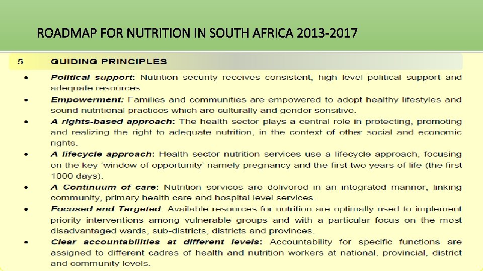 ROADMAP FOR NUTRITION IN SOUTH AFRICA 2013 -2017 