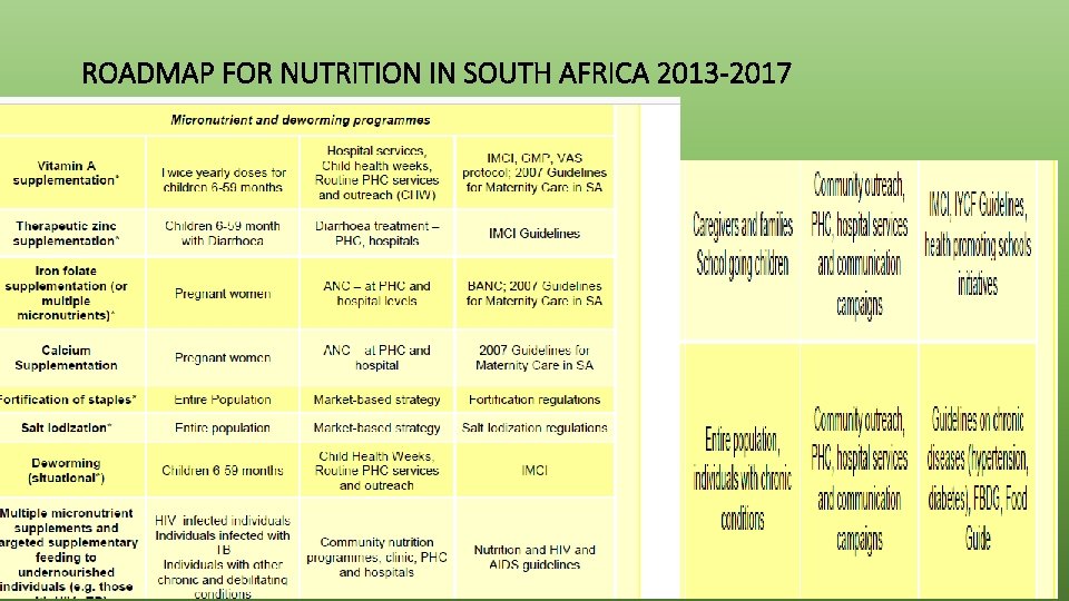 ROADMAP FOR NUTRITION IN SOUTH AFRICA 2013 -2017 