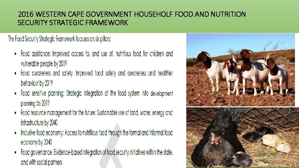 2016 WESTERN CAPE GOVERNMENT HOUSEHOLF FOOD AND NUTRITION SECURITY STRATEGIC FRAMEWORK 
