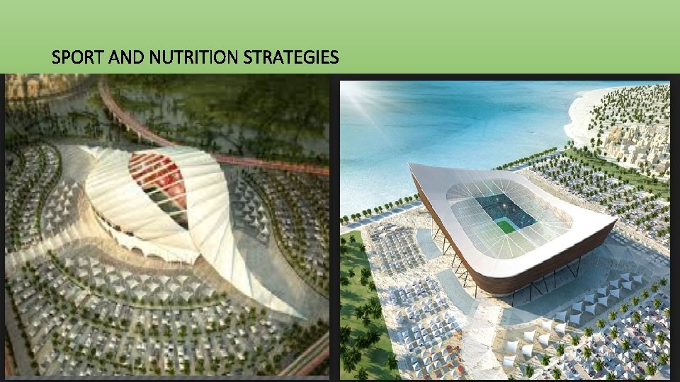 SPORT AND NUTRITION STRATEGIES 