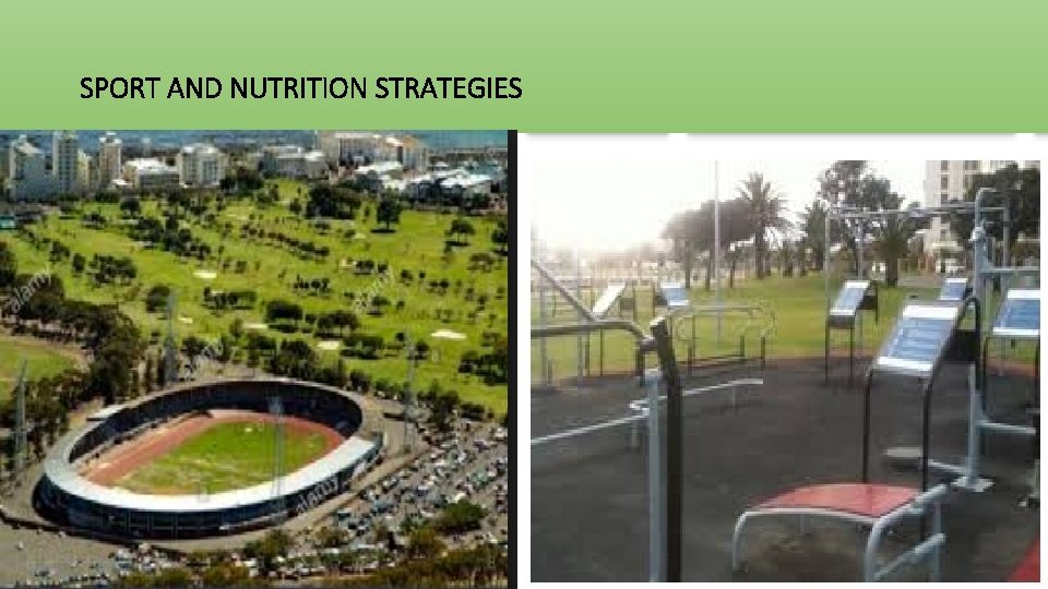 SPORT AND NUTRITION STRATEGIES 