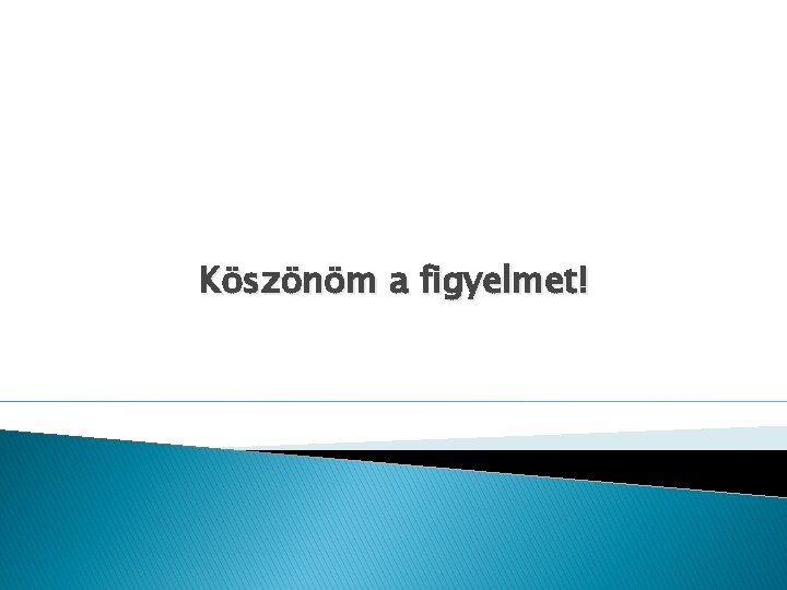 Köszönöm a figyelmet! 