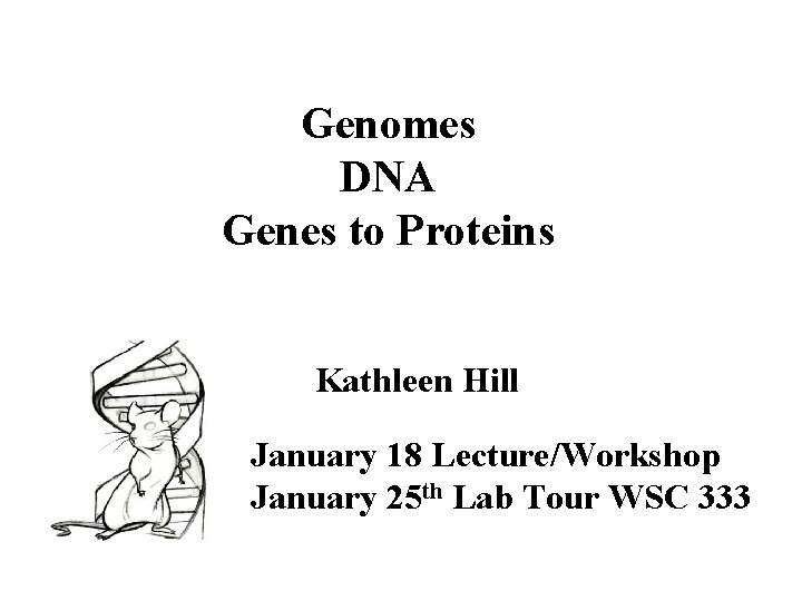 Genomes DNA Genes to Proteins Kathleen Hill January 18 Lecture/Workshop January 25 th Lab