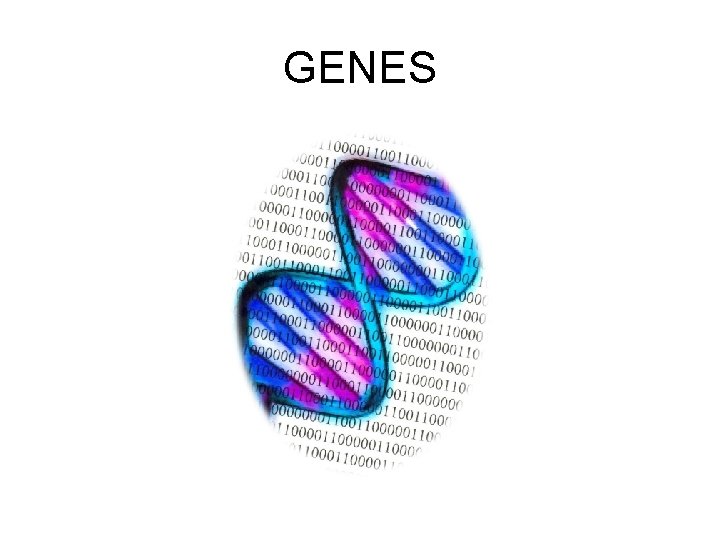GENES 