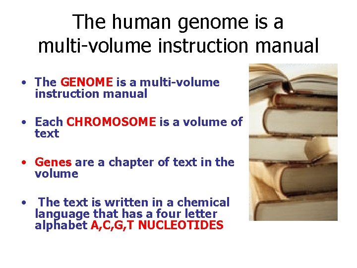 The human genome is a multi-volume instruction manual • The GENOME is a multi-volume